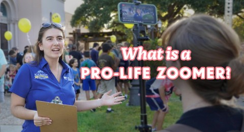 Zoomer_Blog_1